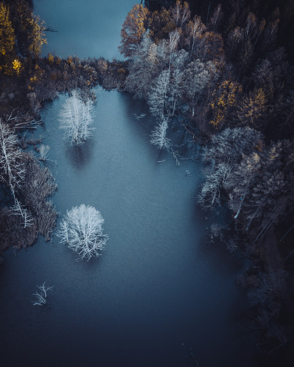Vista aérea do corpo de água perto de árvores