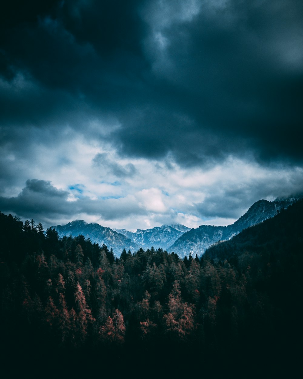 灰色の雲の下の森と山