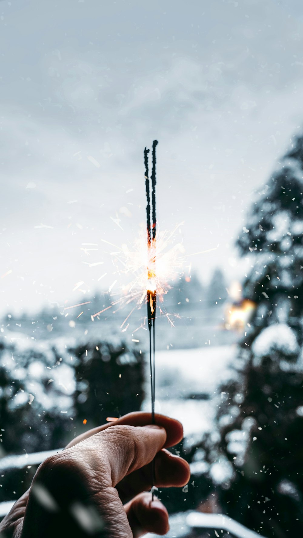 person holding sprinkler