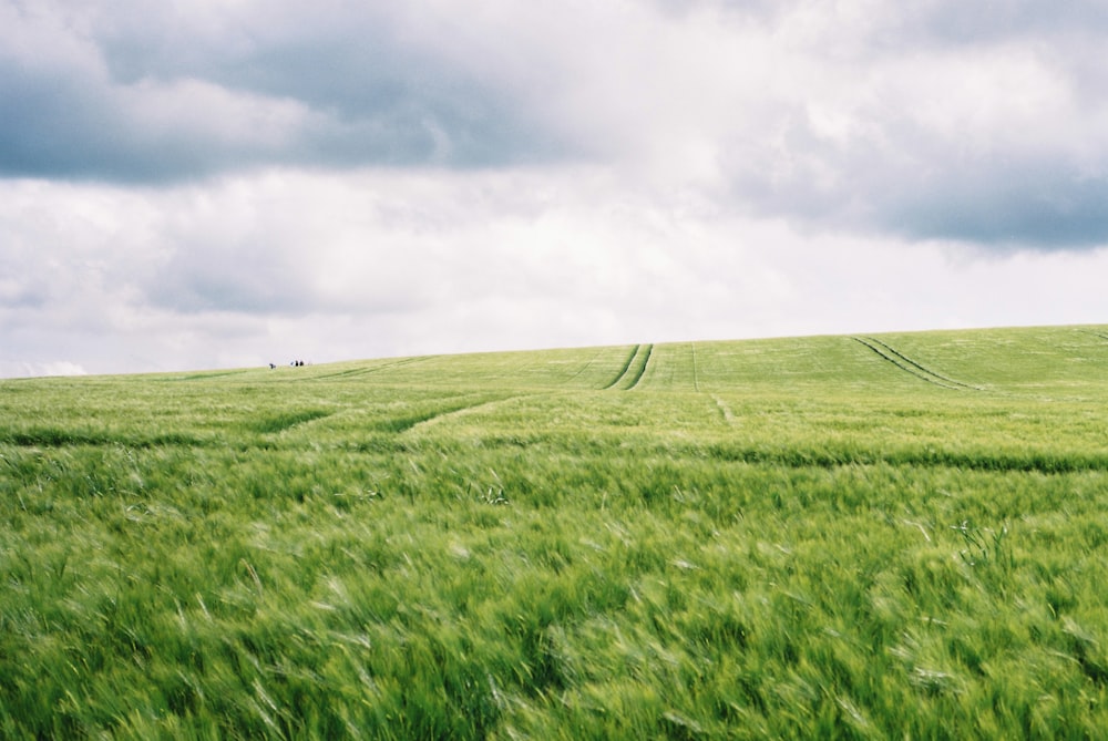 cielo nuvoloso sopra il campo