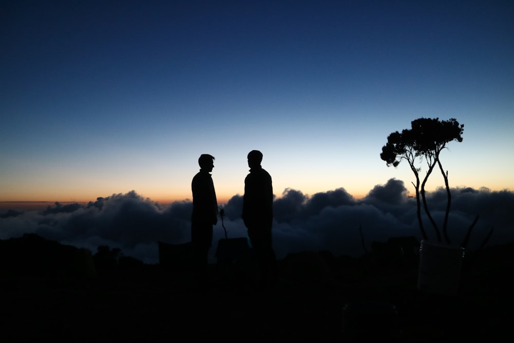 Fotografia da silhueta de dois homens em pé perto da árvore