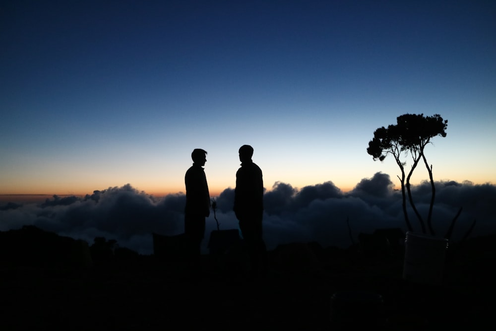 silhouette photography of two men standing near tree