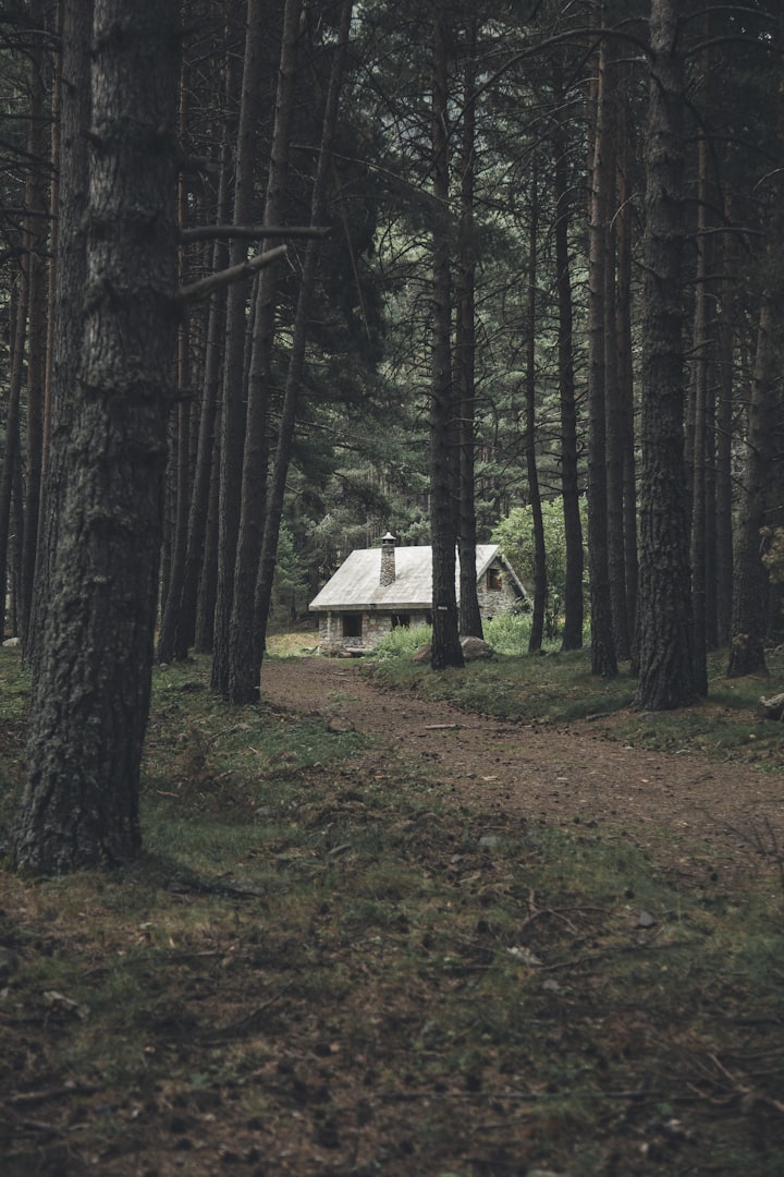 Never Enter an Abandoned Cabin 