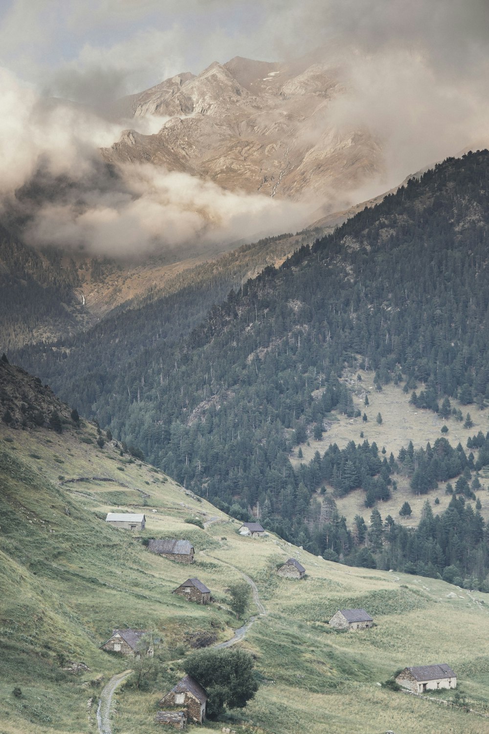 Montañas verdes y pinos durante el día