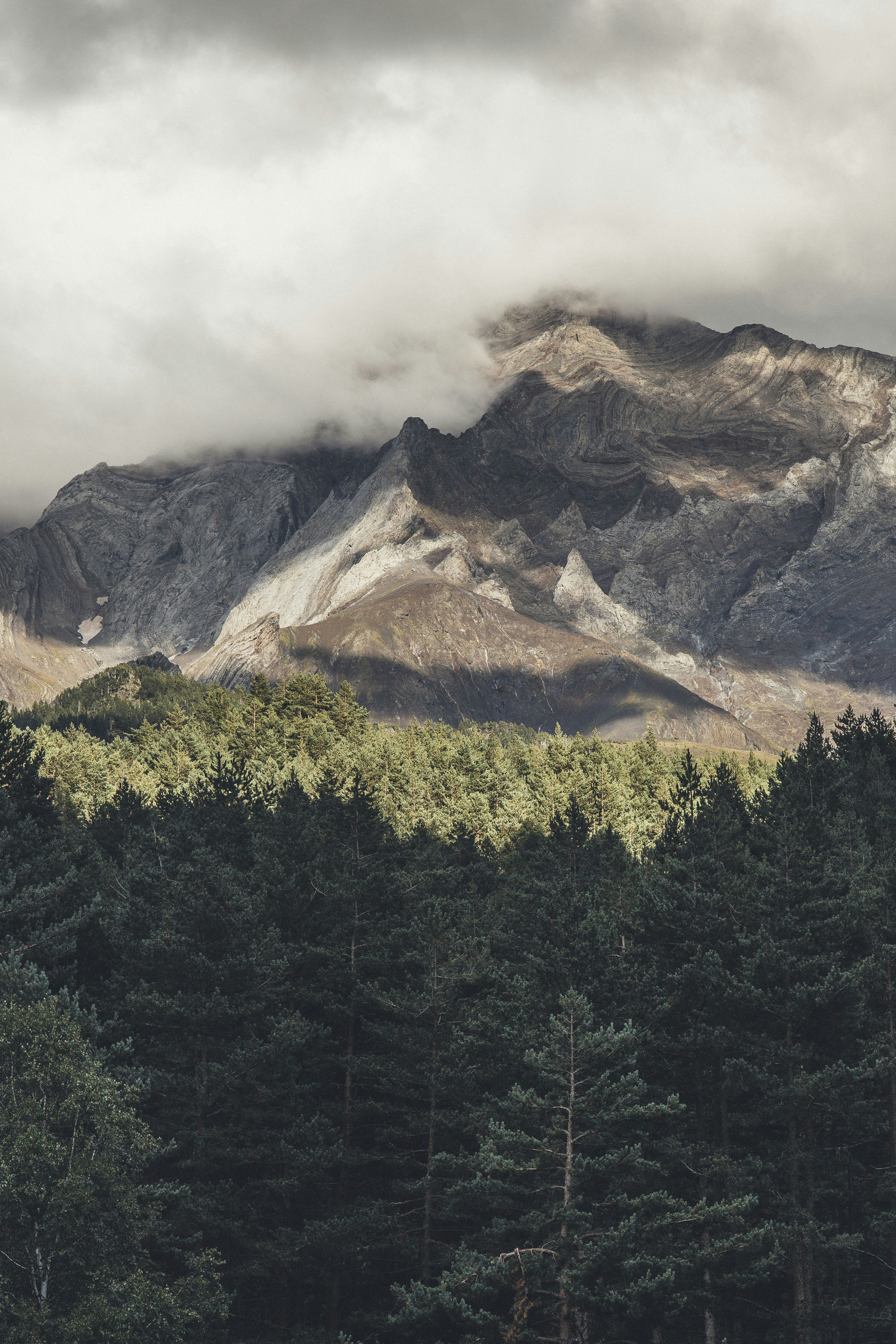 aerial view of mountains and forest