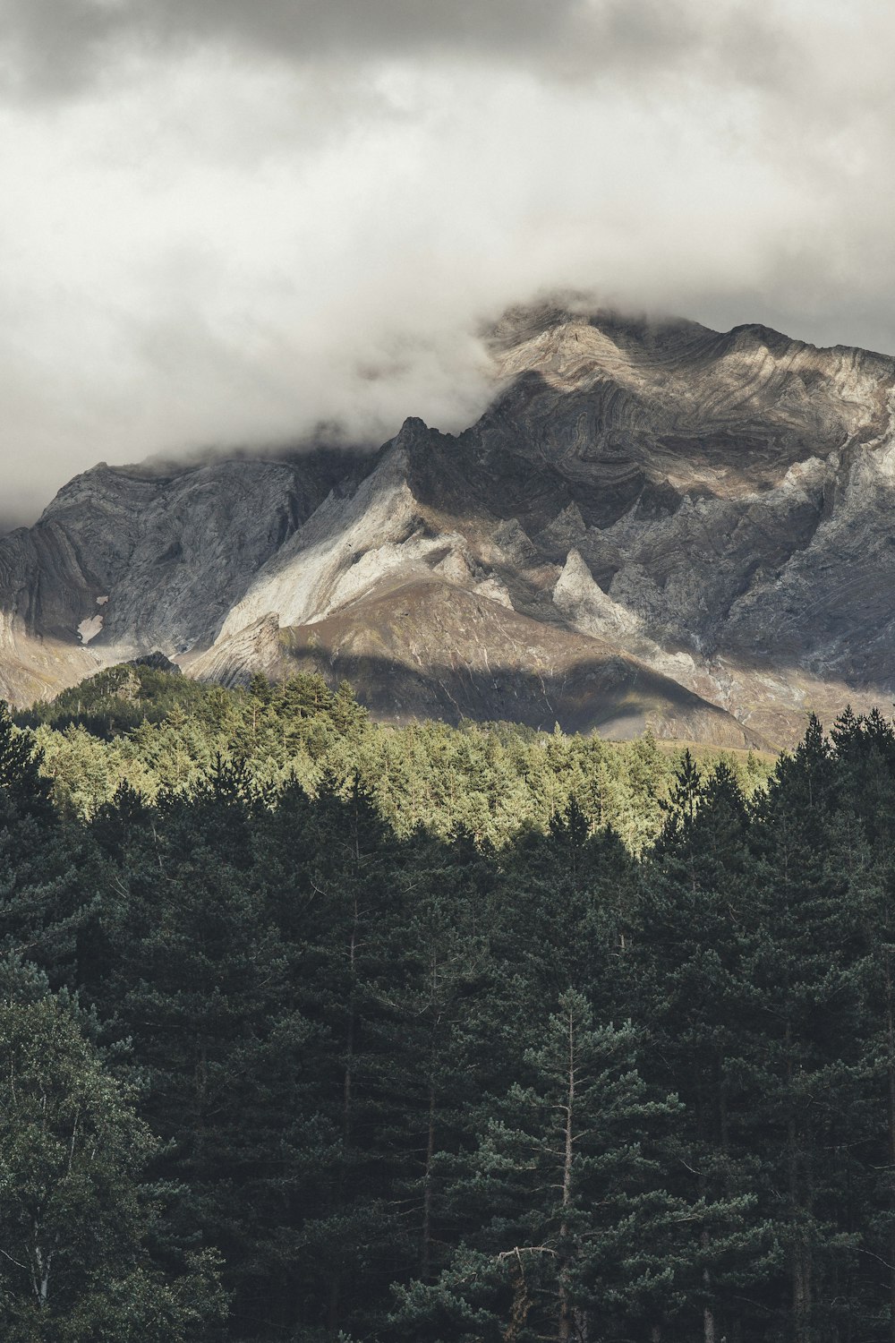 aerial view of mountains and forest