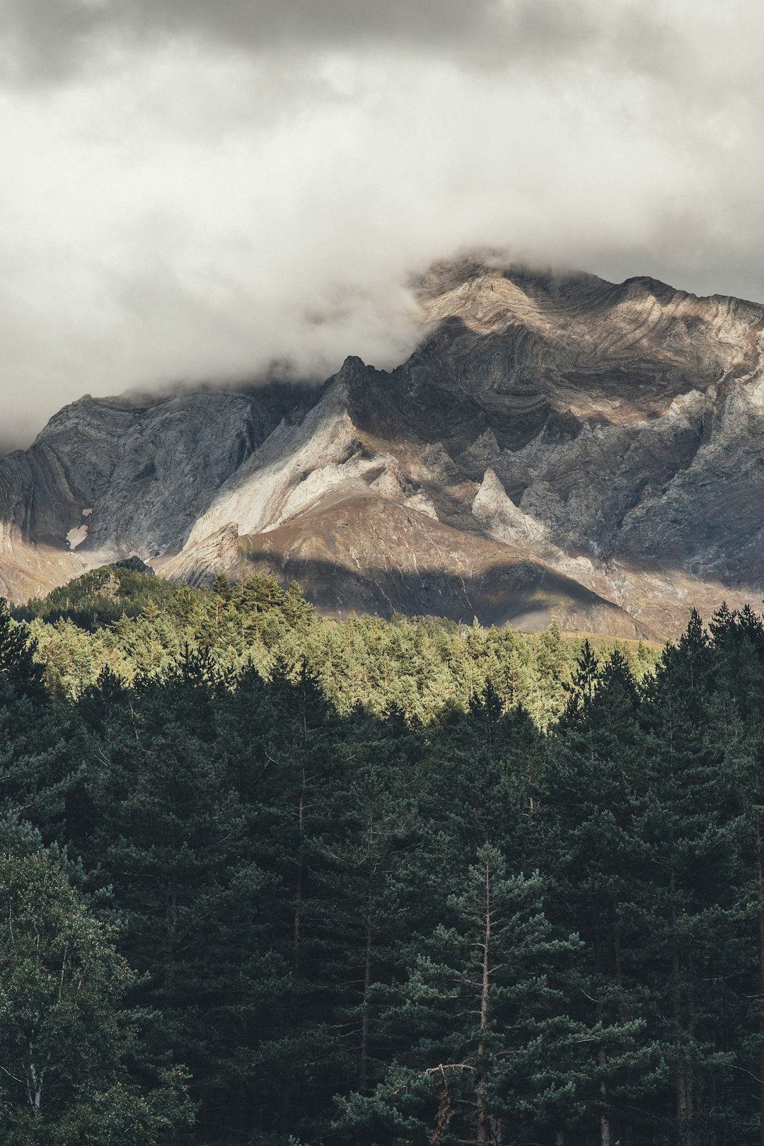 aerial view of mountains and forest