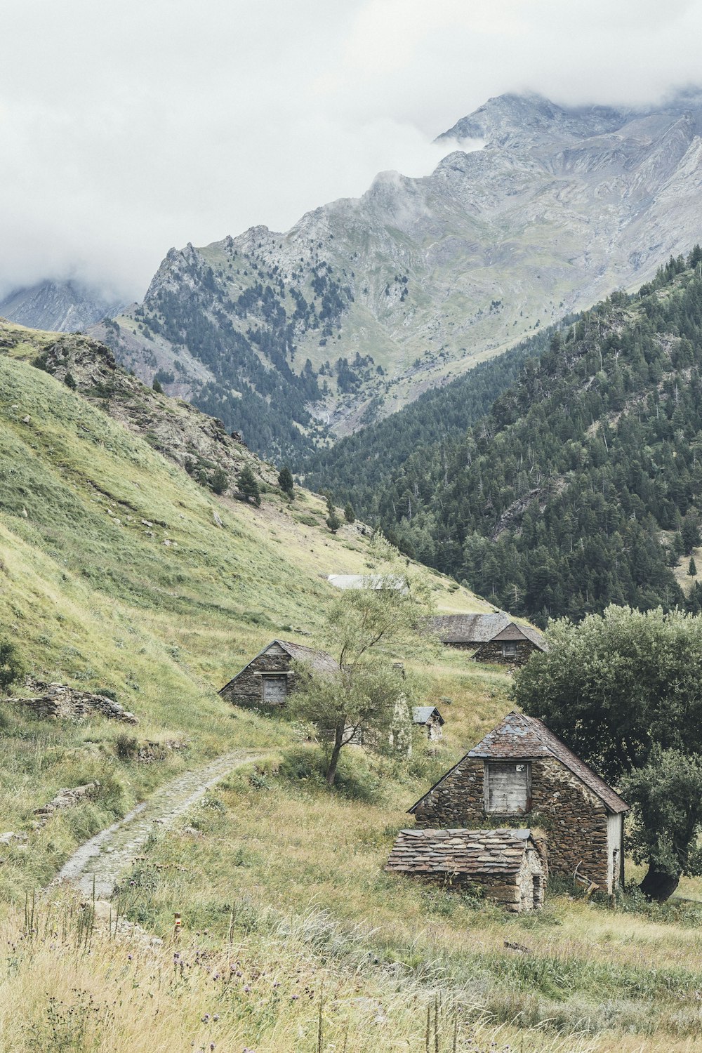 houses on mountain slope during daytime