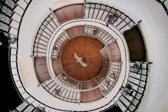top view of outdoor spiral stairs with owl in flight at center