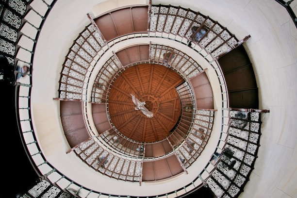 top view of outdoor spiral stairs with owl in flight at center