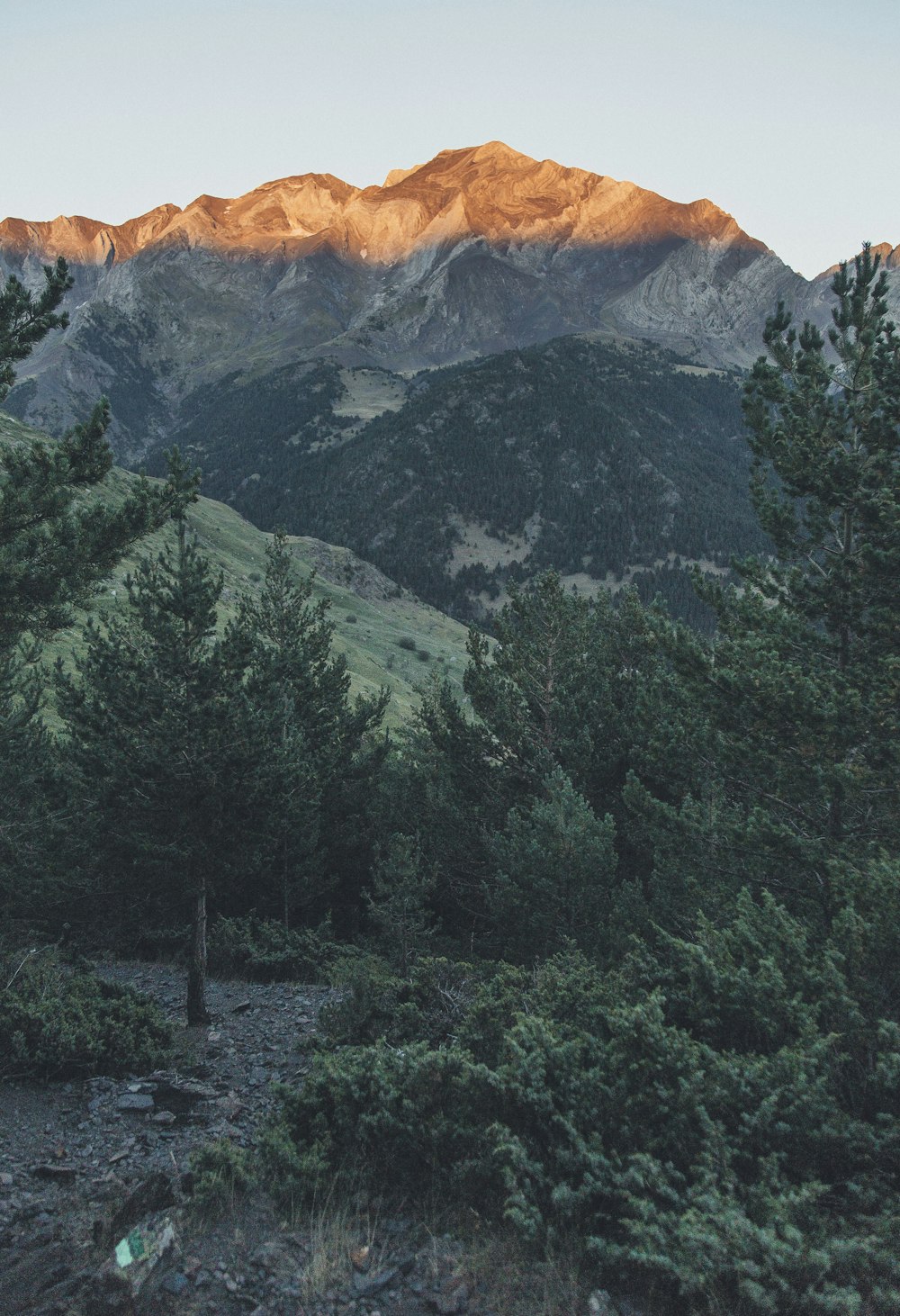 green leafed trees near mountain during daytim