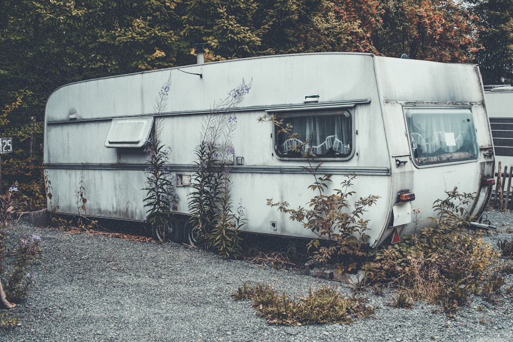 remorque de camping-car blanche derrière un arbre à feuilles vertes