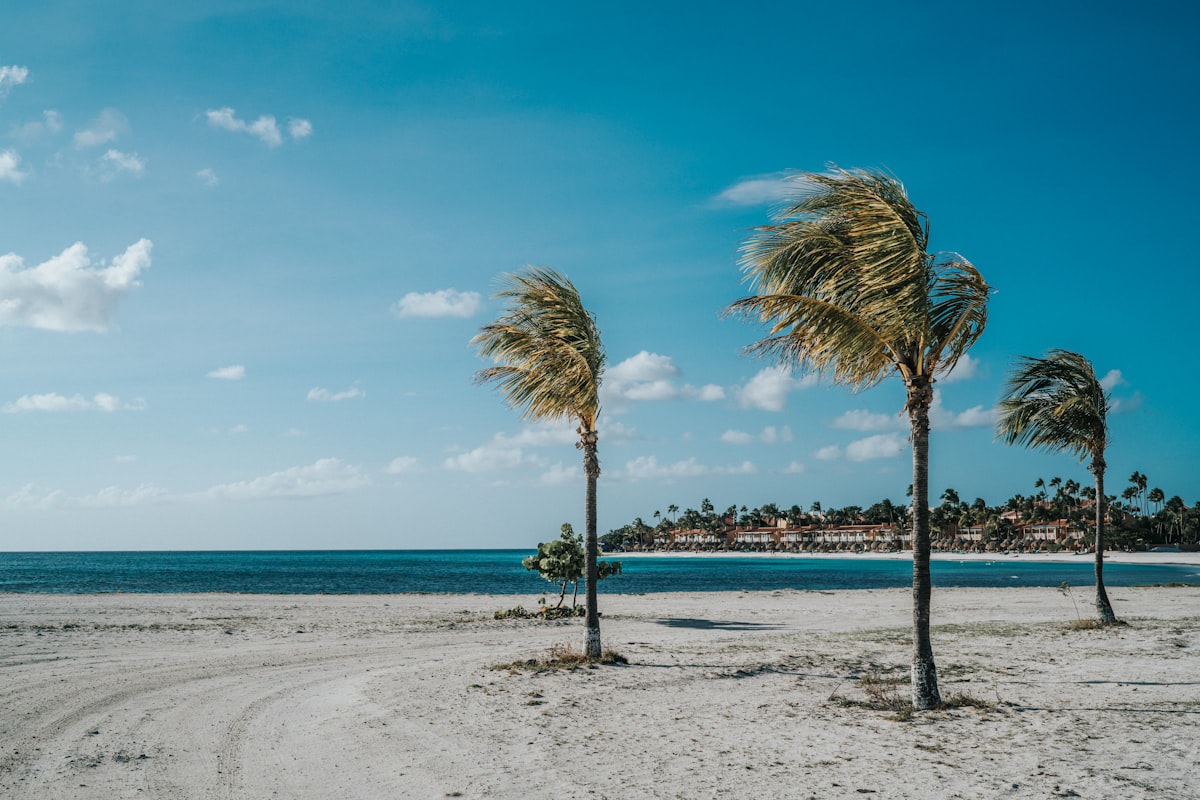 Palm Beach in Aruba with its calm turquoise waters and piers