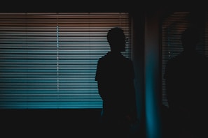 silhouette of man near window