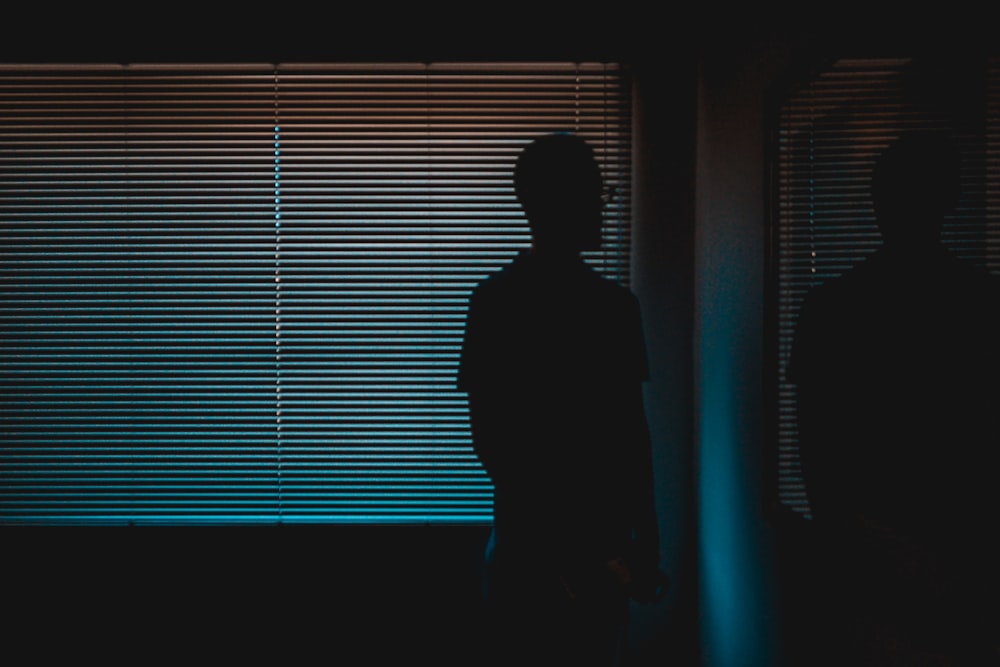 silhouette of man near window