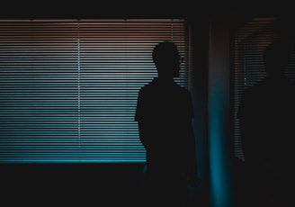 silhouette of man near window