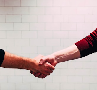 two person shaking hands near white painted wall