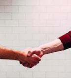 two person shaking hands near white painted wall