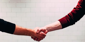 two person shaking hands near white painted wall