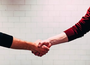 two person shaking hands near white painted wall