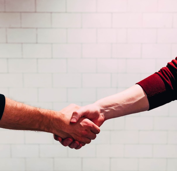 two person shaking hands near white painted wall