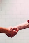 two person shaking hands near white painted wall