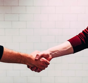 two person shaking hands near white painted wall