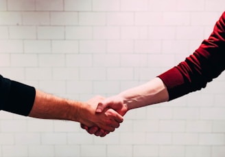 two person shaking hands near white painted wall