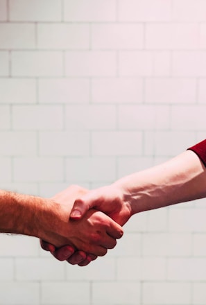 two person shaking hands near white painted wall