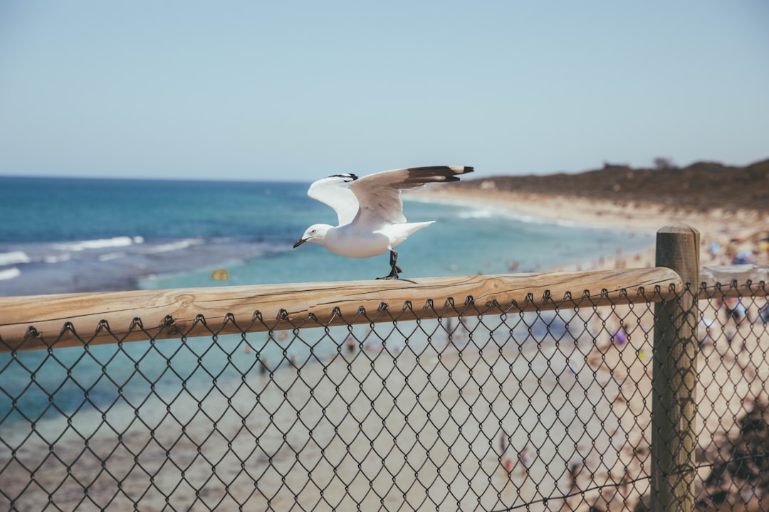 Beach photo spot Yanchep Lagoon Australia