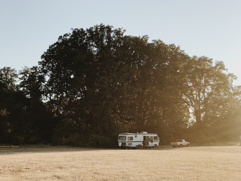 white RV trailer under green tree