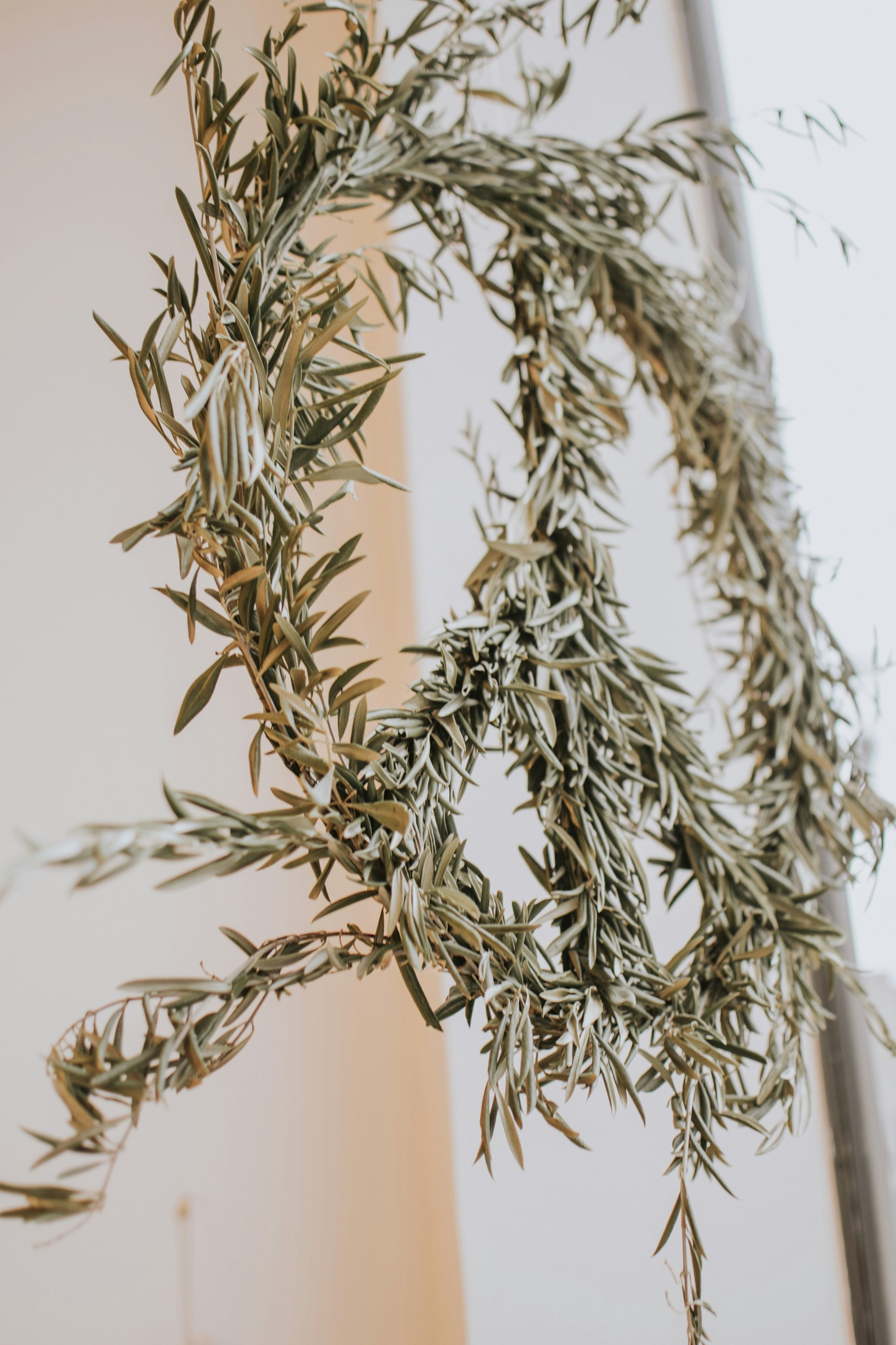 Флористические композиции из сухоцветов. Сухоцветы для декора. Засушенные цветы для декора. Как засушить веточку. Сухие букеты для декора.