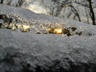 Close-up of frost-covered rigging glistening in the early morning Arctic sunlight.
