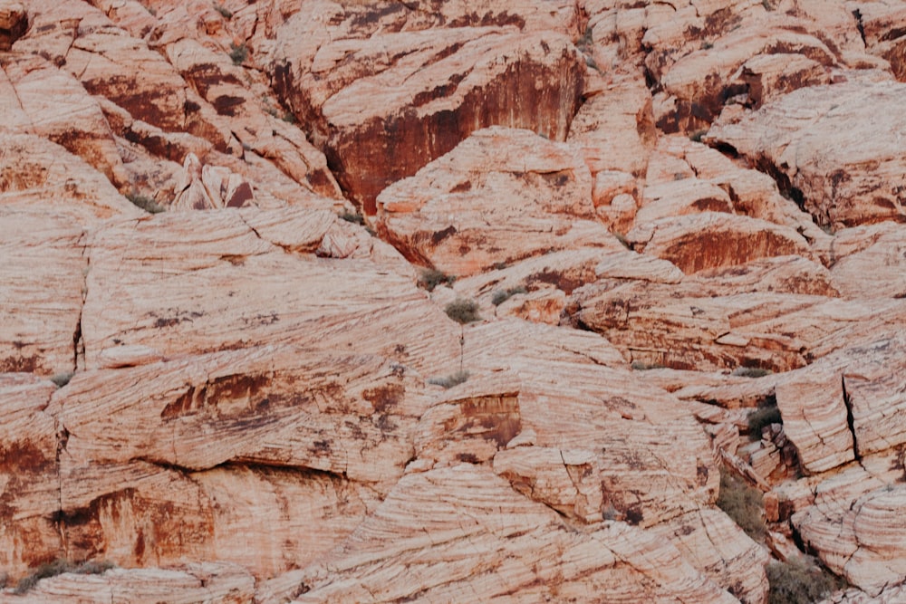 closeup photo of brown cliff