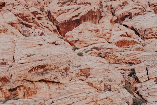 closeup photo of brown cliff in Red Rock Canyon United States