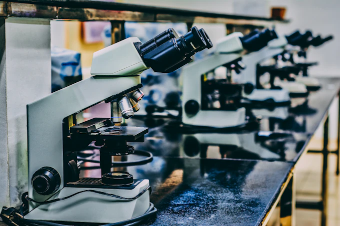 A row of compound microscopes in a teaching laboratory