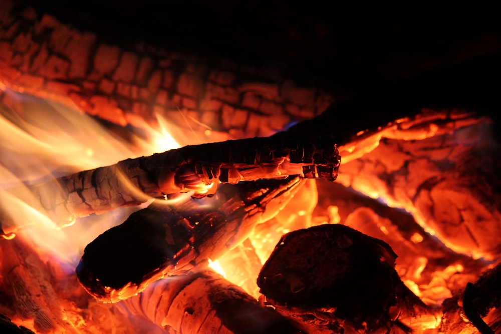 burning firelogs