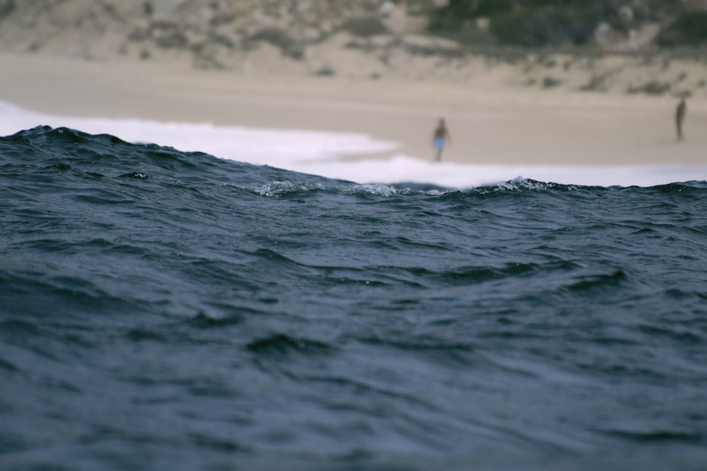 person walking on seashore view from body of water