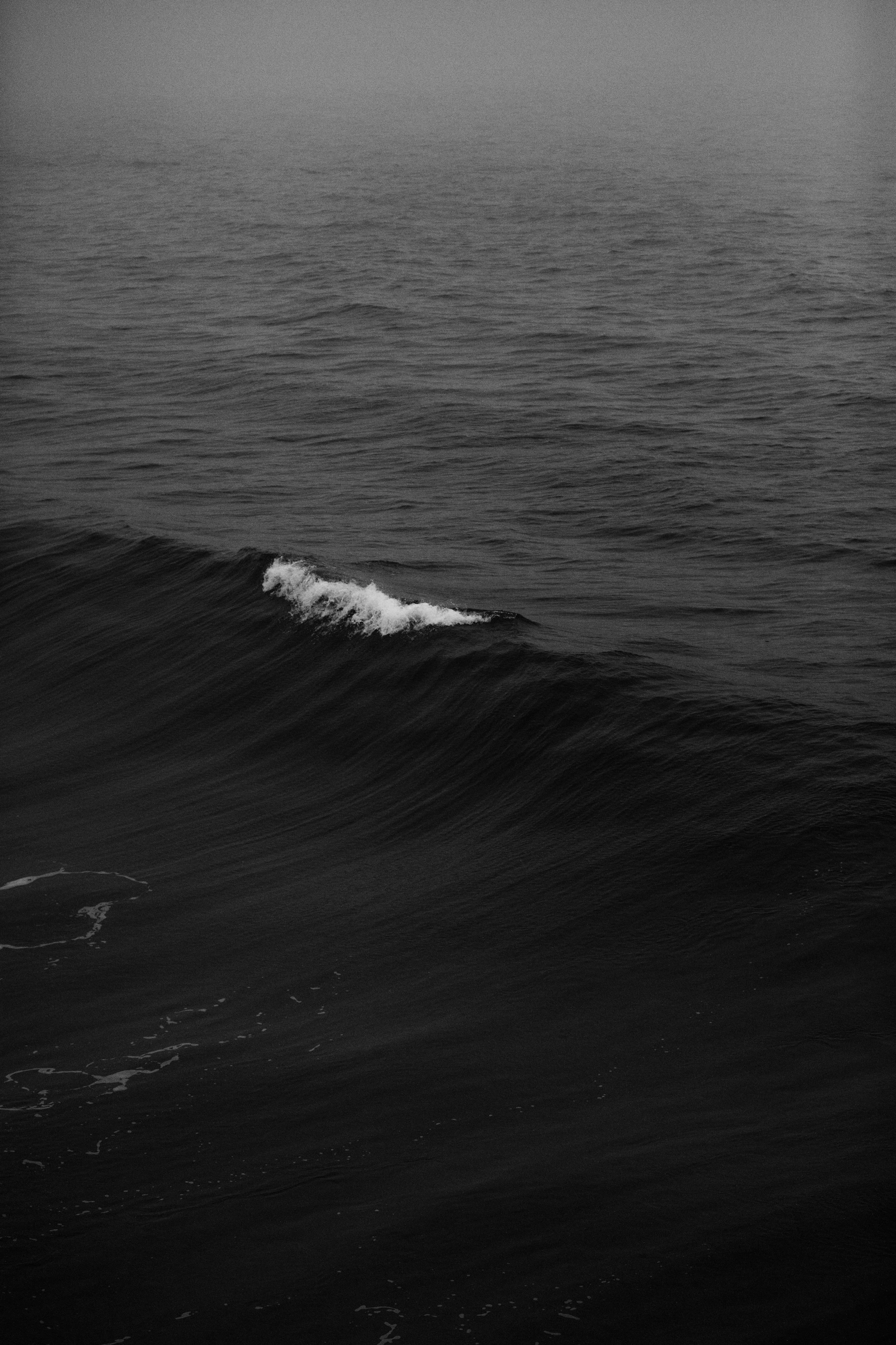 Fondo Marítimo Piloto Fallback
