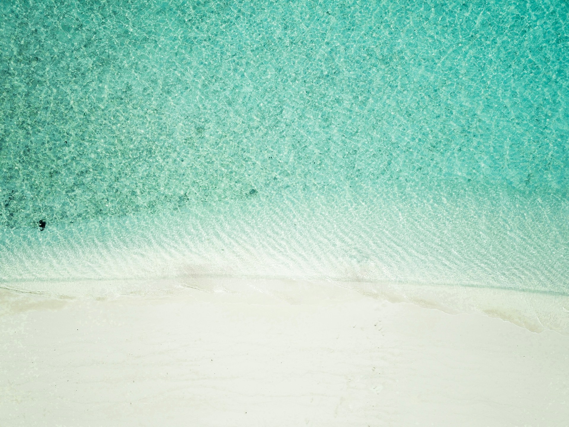 aerial view of white sand beach