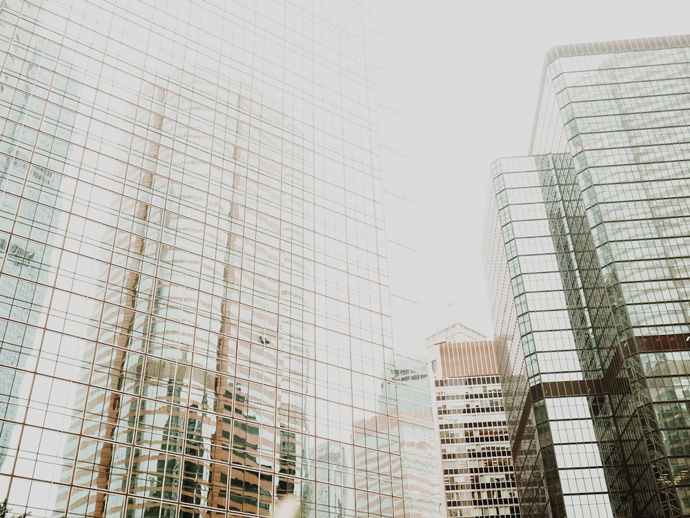 low angle photography of clear curtain glass buildings