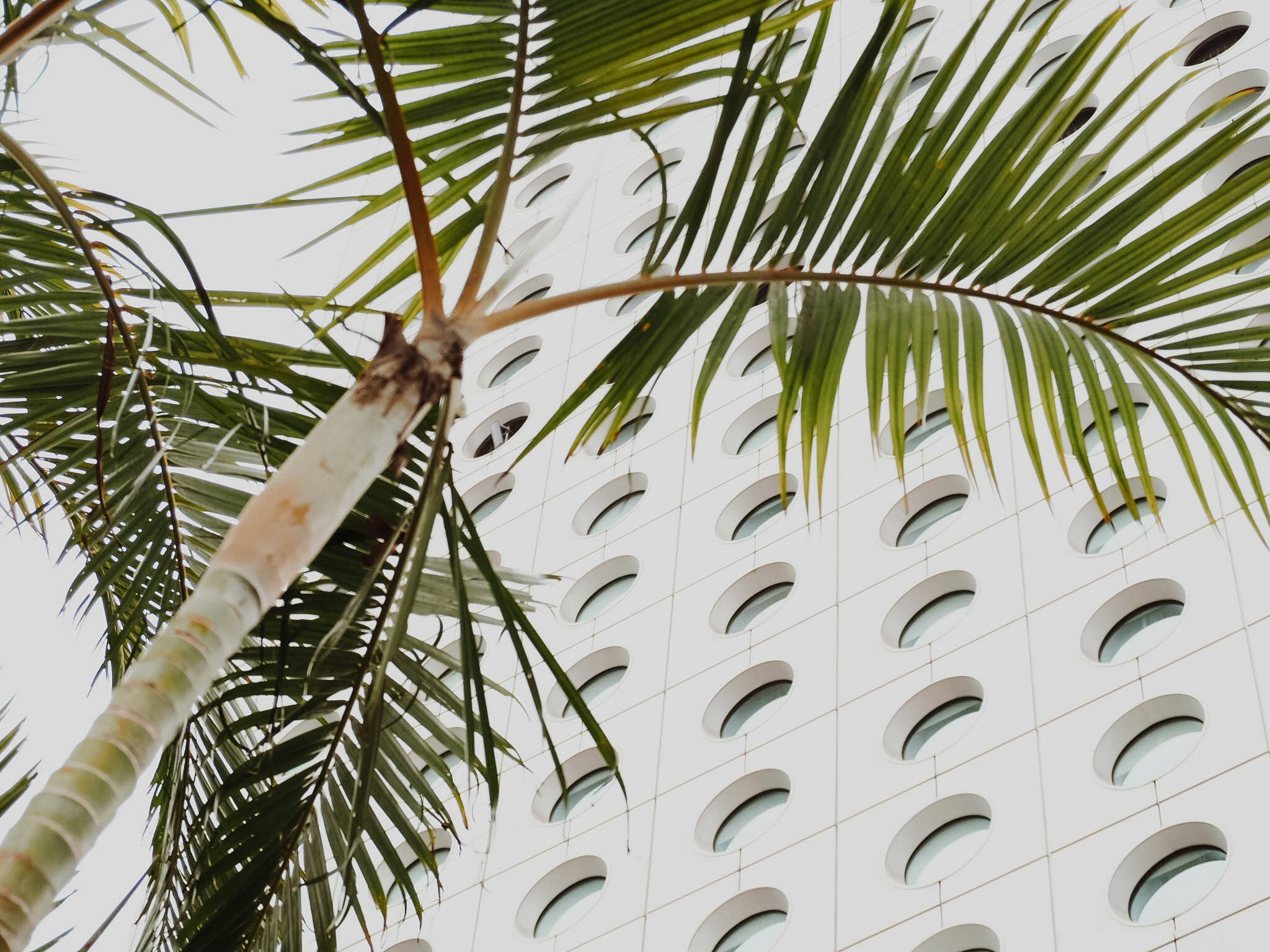 Choose from a curated selection of tree photos. Always free on Unsplash.