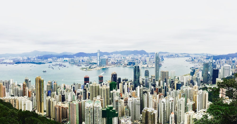 city skyline during daytime