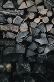 A stack of neatly arranged firewood featuring a variety of cut logs. The logs display different sizes and patterns of bark and wood grain, with most pieces split into manageable sections. The lighting is dim, highlighting the textures and natural tones of the wood.