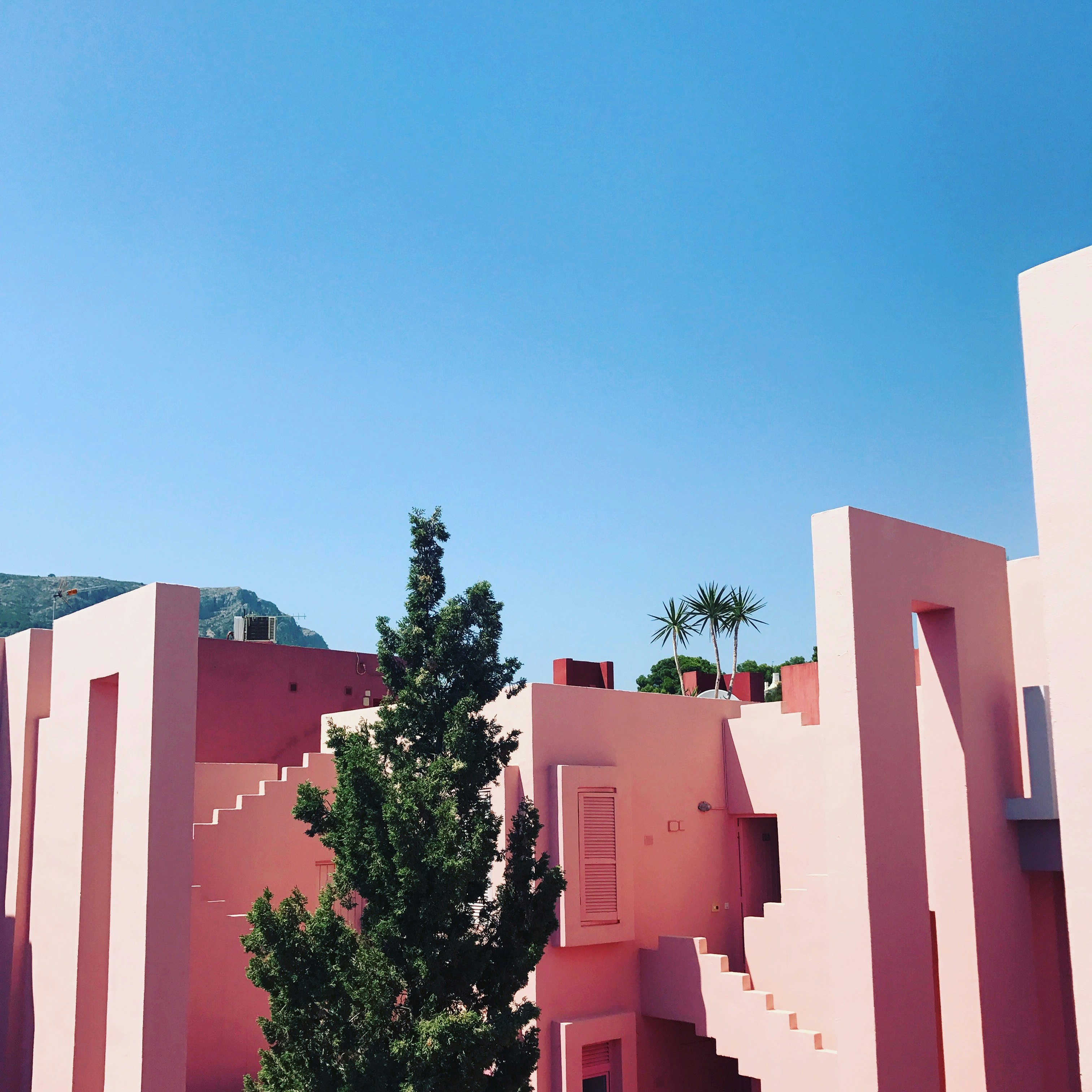 green tree near pink building during daytime