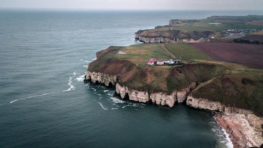 Flamborough Head things to do in Robin Hood's Bay