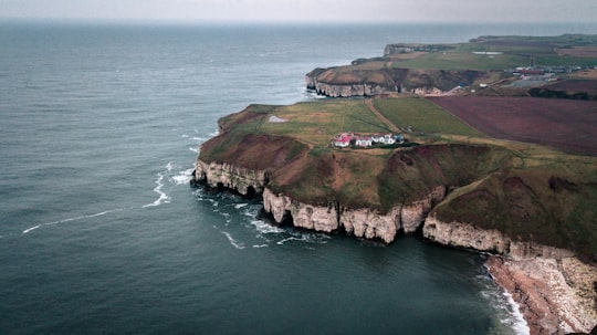 Flamborough Head things to do in Whitby