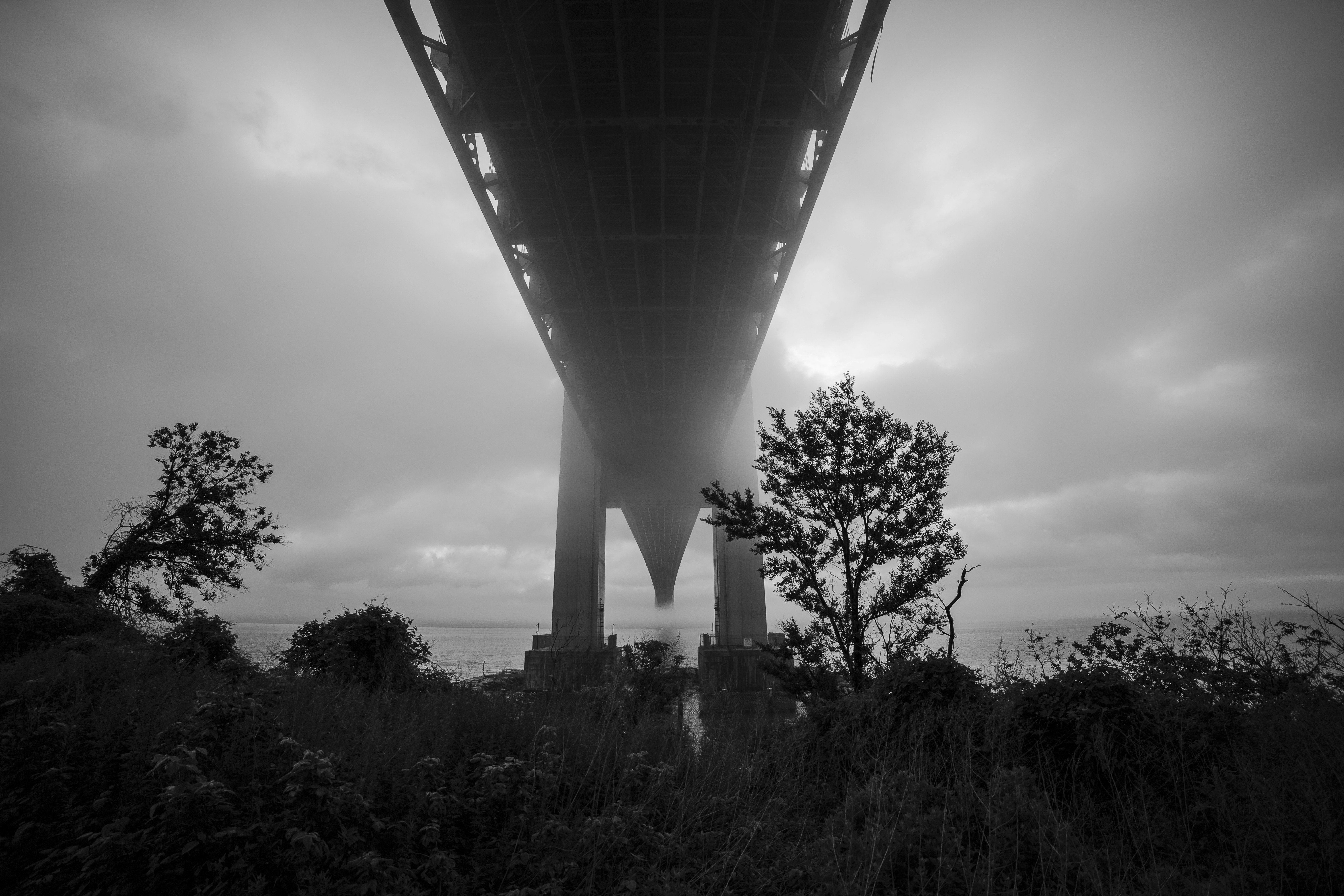 Photo by evanbrockett