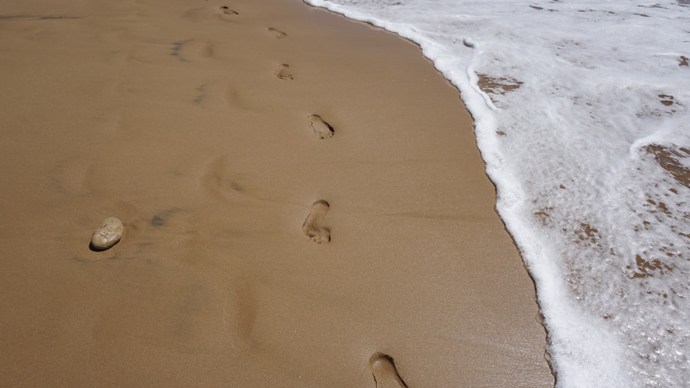 human footprint near on seashore