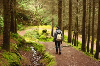 man hiking in between trees